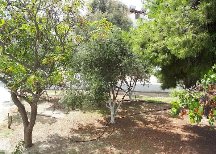 Apartment Chrisanthi Agios Prokopios (Naxos)